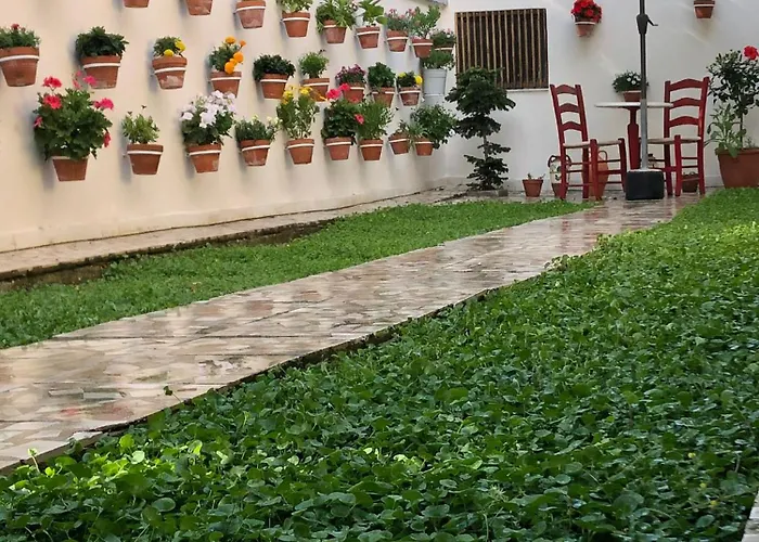 Ramo's Charming - 4th *